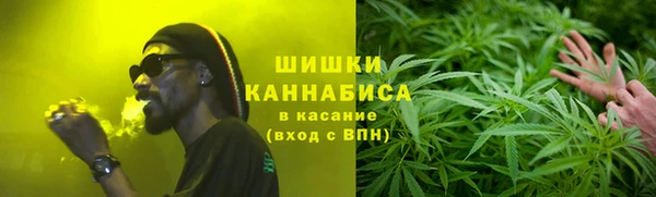 ГАЛЛЮЦИНОГЕННЫЕ ГРИБЫ Приозерск