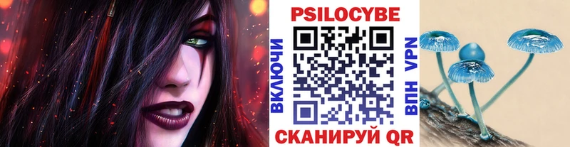где купить наркотик  blacksprut онион  Галлюциногенные грибы мицелий  Дмитровск 